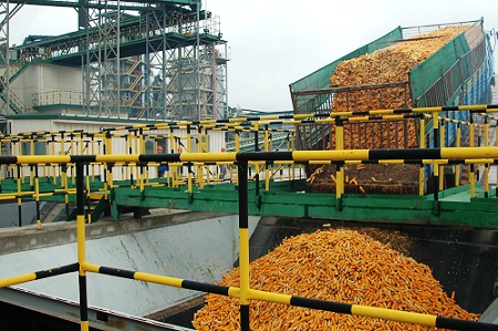 敦煌種業(yè)先鋒良種有限公司酒泉種子加工廠三、四期工程竣工投產(chǎn)