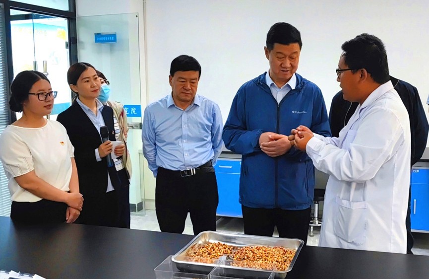 甘肅省地方金融監(jiān)管局、甘肅證監(jiān)局領(lǐng)導(dǎo)蒞臨敦煌種業(yè)調(diào)研指導(dǎo)