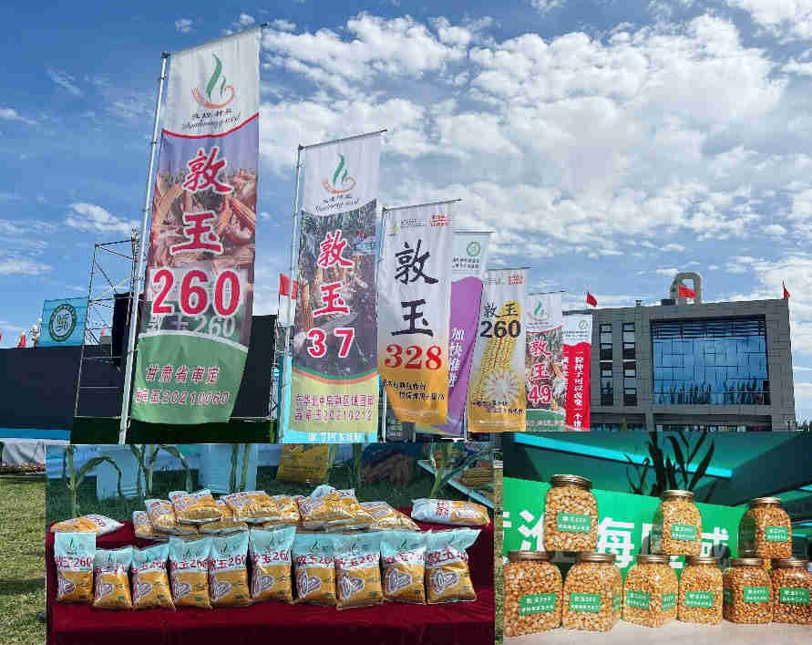 公司一批產(chǎn)品參展第五屆酒泉現(xiàn)代種業(yè)博覽會(huì)暨第二屆花卉博覽會(huì) 受到各方客戶(hù)青睞