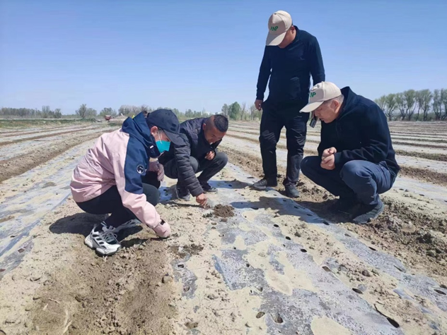 “三抓三促”行動進行時 | 篤行不怠勇?lián)?dāng)　砥礪奮進正當(dāng)時 —— 武威市敦煌種業(yè)種子有限公司“三抓三促”行動紀實